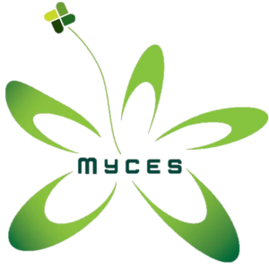 MYCES AIRCOND & ELECTRICAL SERVICES SDN BHD